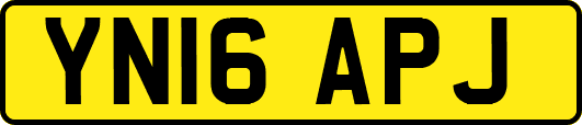 YN16APJ