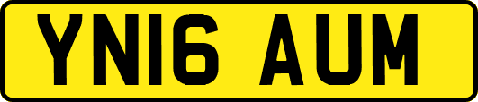 YN16AUM