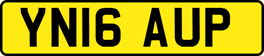 YN16AUP