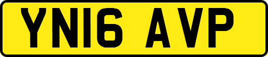YN16AVP