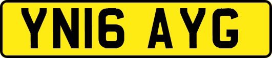 YN16AYG