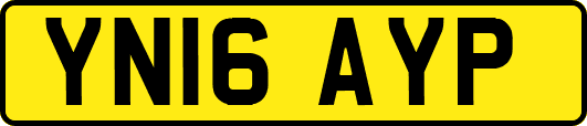 YN16AYP