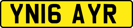 YN16AYR