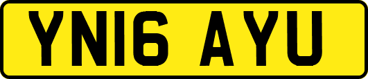 YN16AYU