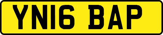 YN16BAP