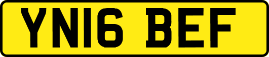 YN16BEF