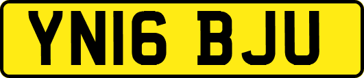 YN16BJU