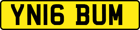 YN16BUM