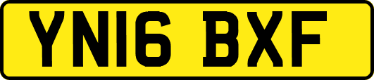 YN16BXF