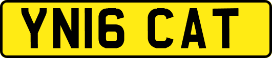YN16CAT