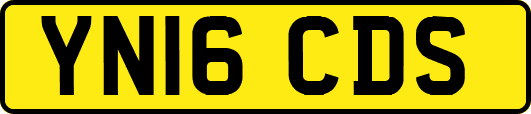 YN16CDS