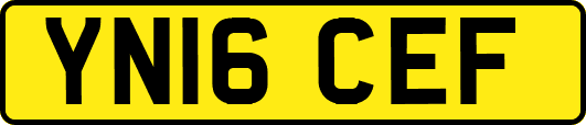 YN16CEF