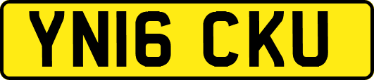 YN16CKU