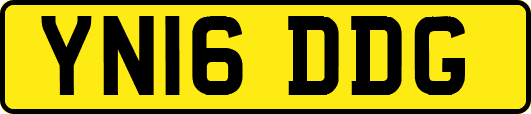 YN16DDG