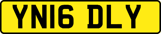 YN16DLY