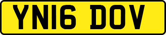 YN16DOV