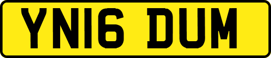 YN16DUM
