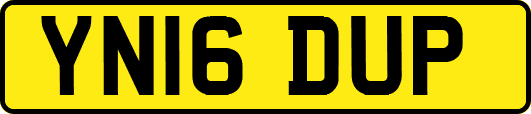 YN16DUP