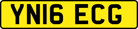 YN16ECG