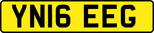 YN16EEG