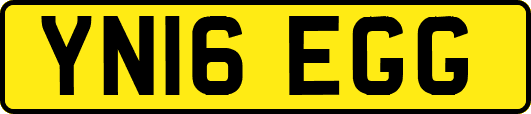 YN16EGG