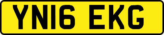 YN16EKG