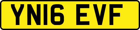 YN16EVF
