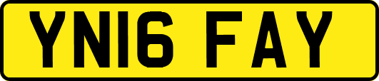 YN16FAY