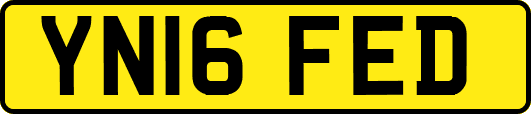 YN16FED