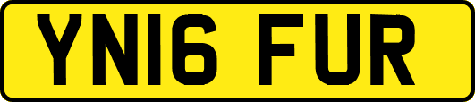 YN16FUR