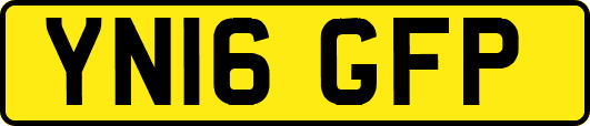 YN16GFP
