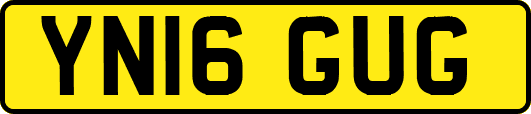 YN16GUG