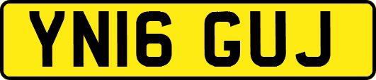 YN16GUJ