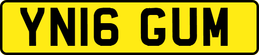 YN16GUM