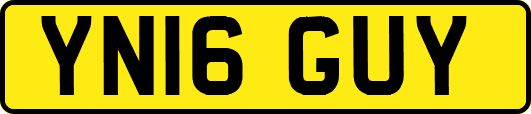 YN16GUY