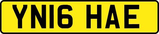 YN16HAE