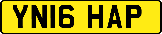 YN16HAP