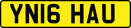 YN16HAU