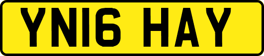 YN16HAY