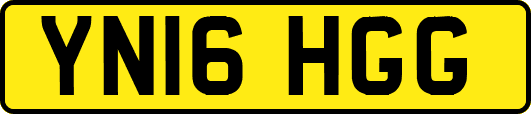 YN16HGG
