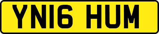 YN16HUM