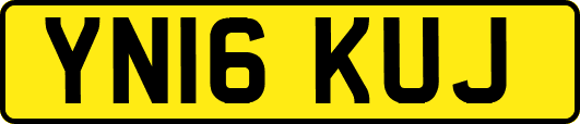 YN16KUJ
