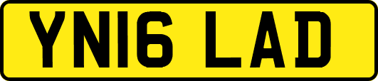 YN16LAD