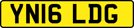 YN16LDG