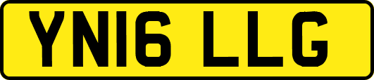 YN16LLG