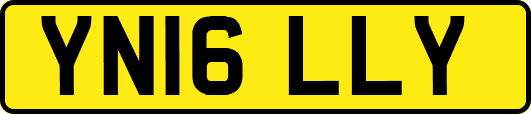 YN16LLY