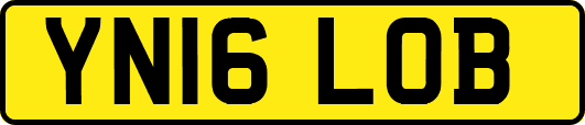 YN16LOB