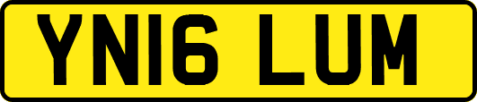 YN16LUM