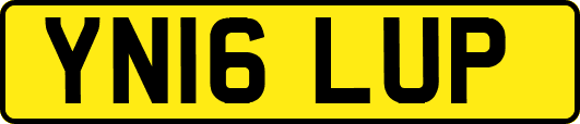 YN16LUP