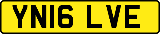 YN16LVE